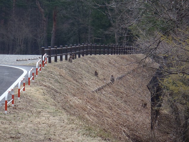 c0147398_12564868.jpg