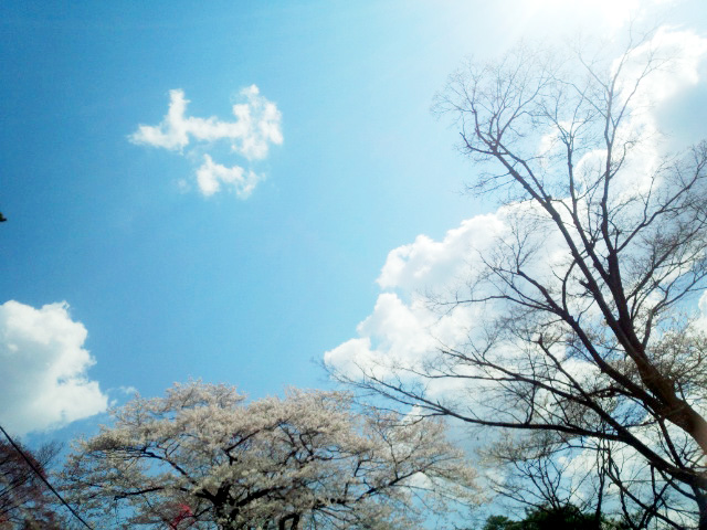 c0140599_12001290.jpg
