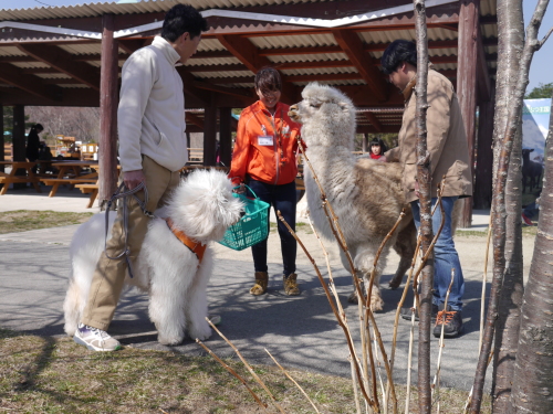 那須オフ会、ありがとうございました＾＾_d0326899_19363118.jpg