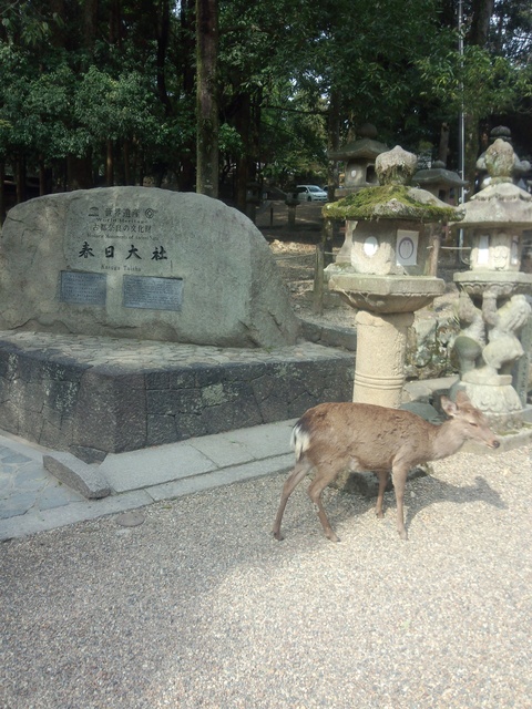 c0229500_1205486.jpg