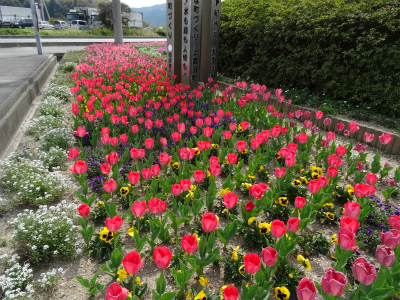 c0125501_17112984.jpg
