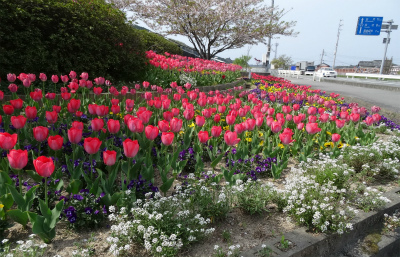 c0125501_17131994.jpg