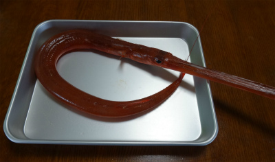 c0125501_1781160.jpg