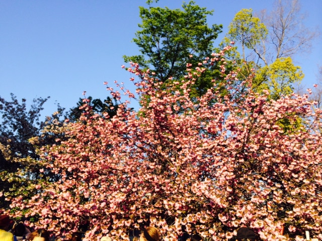 a0050302_32704.jpg