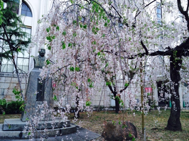 a0050302_334890.jpg