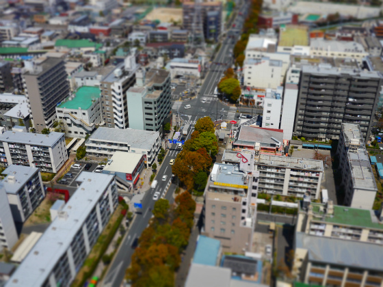 a0164102_15591110.jpg