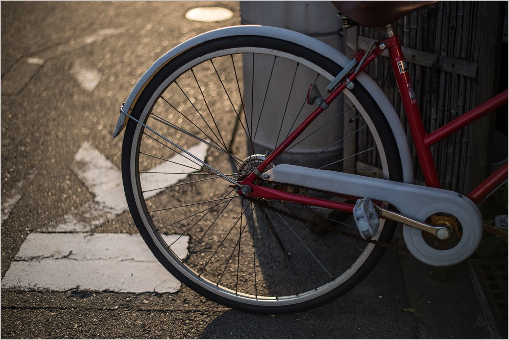 夜明けの自転車_d0123103_59286.jpg