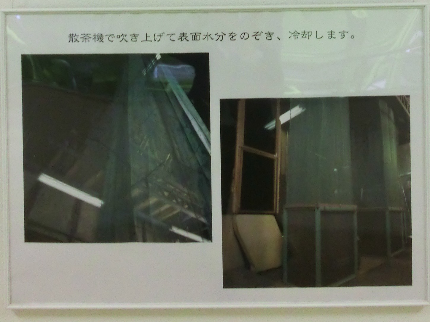 丸久小山園 抹茶製造工程_c0187004_1230297.jpg