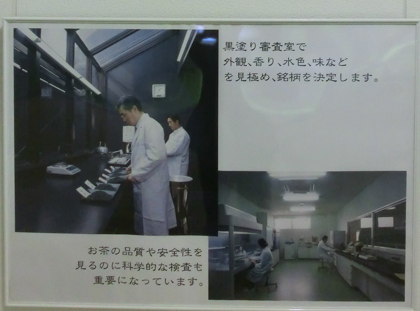 丸久小山園 抹茶製造工程_c0187004_12353756.jpg