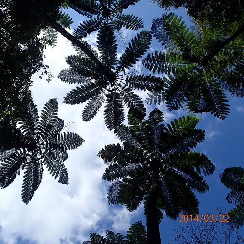 b0118209_161446100.jpg