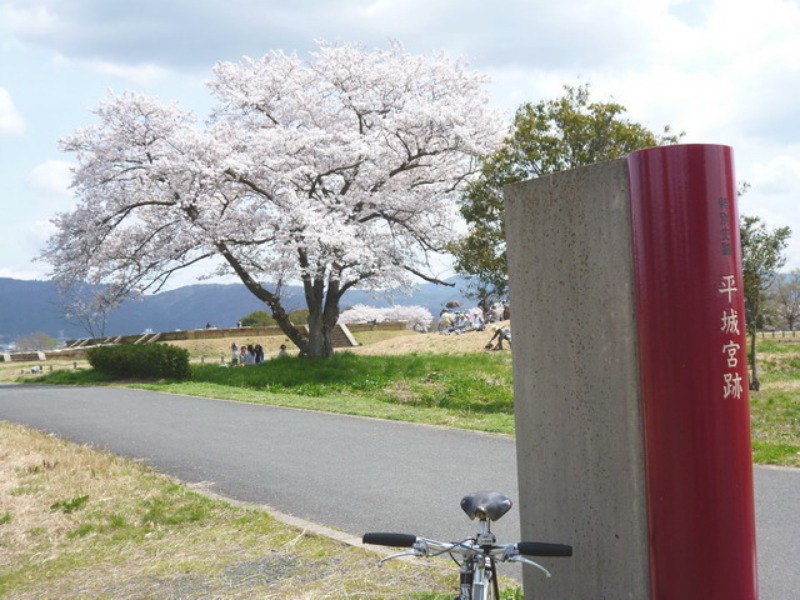 b0174217_20152479.jpg