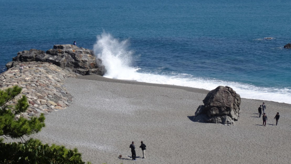 03/27 高知 桂浜_d0187917_00195489.jpg