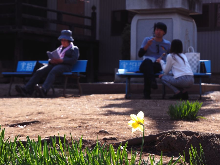 ＊ 王仁塚の一本桜・山高の神代桜等_b0204819_21323054.jpg