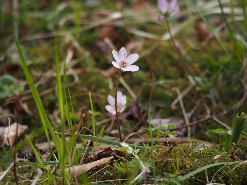f0330321_2154124.jpg