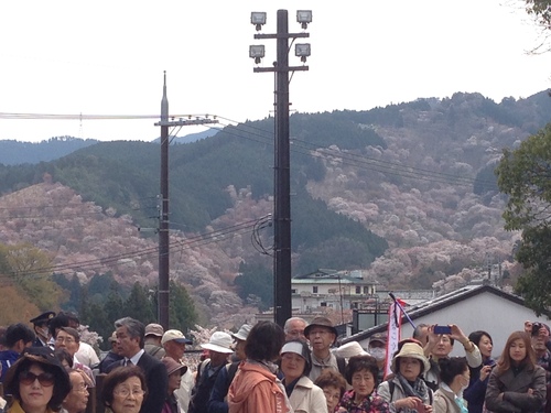 昨晩は物凄い嵐でした...._e0154524_11431651.jpg
