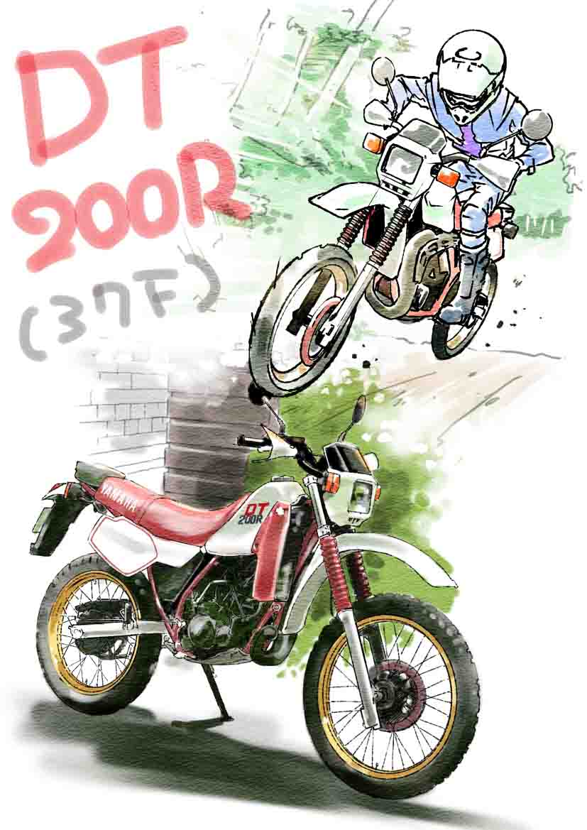 DT200R(37F) : 目つきが悪い！