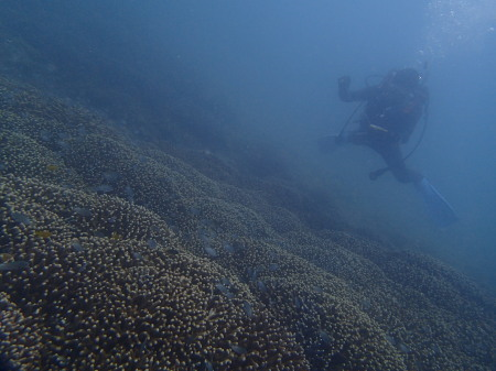 １４．４．１５　引き続き、金武湾沖を_b0100730_2244233.png