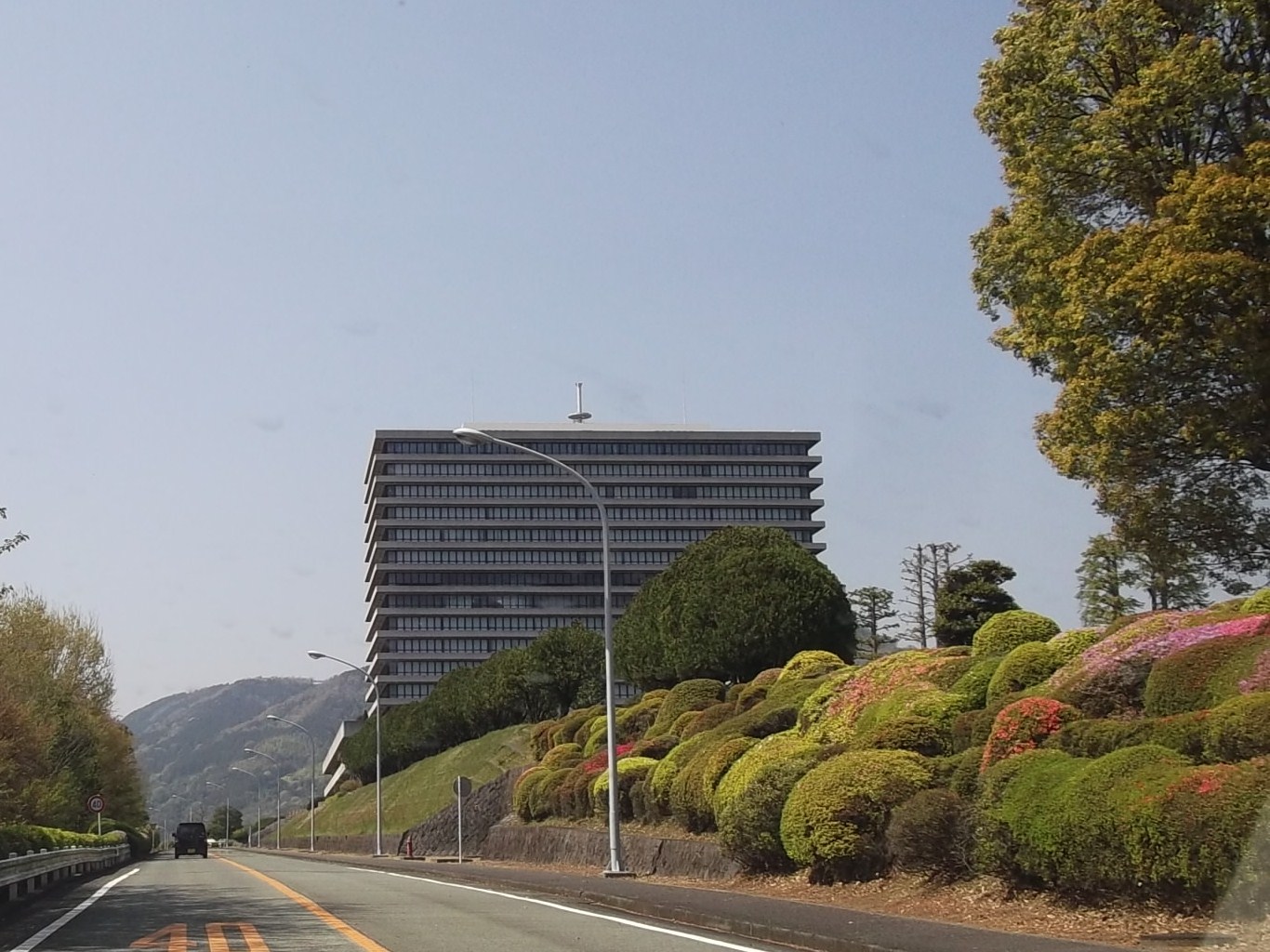レタスを定植しました。_b0137932_20152187.jpg