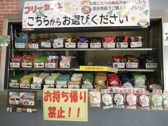 レタスを定植しました。_b0137932_2018161.jpg