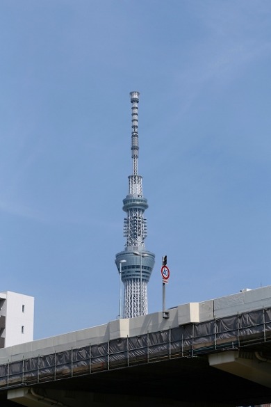 都内さくら便り　水上バス（浜離宮→浅草）その２_f0229832_16303626.jpg