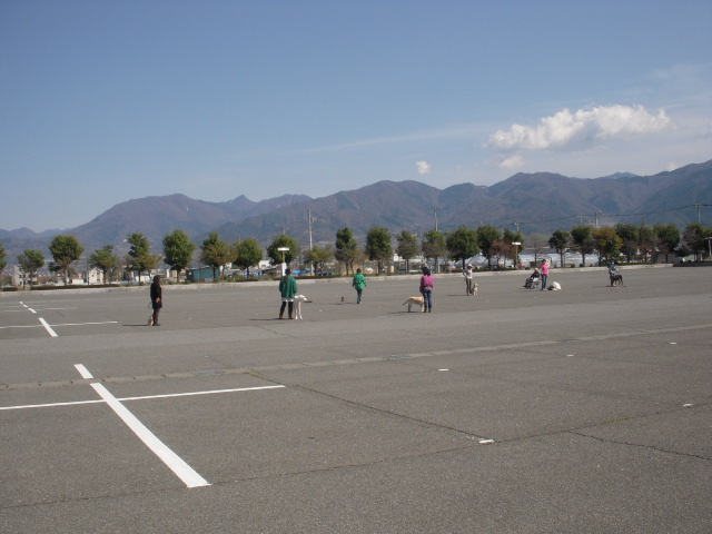 c0114833_13483664.jpg