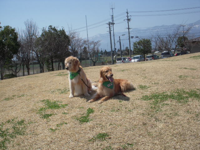 c0114833_2331167.jpg