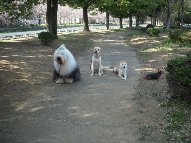 c0114833_23372312.jpg