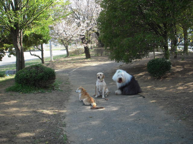 c0114833_2338283.jpg
