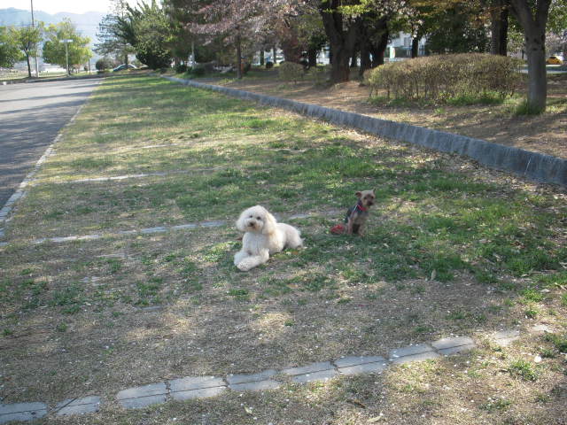 c0114833_23421421.jpg