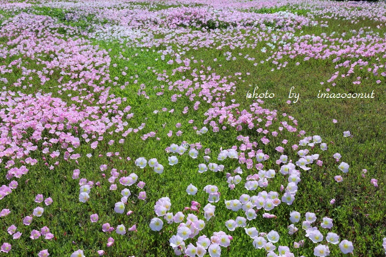 f0308134_20102145.jpg