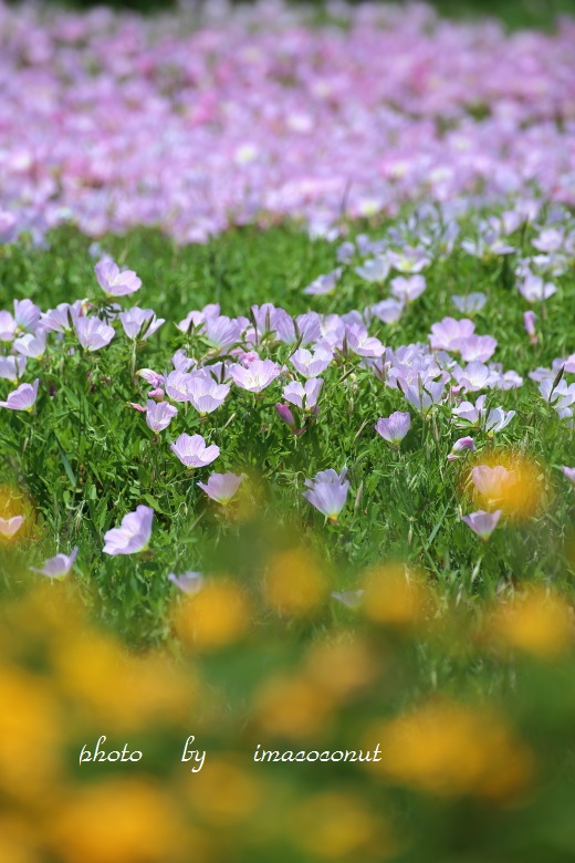 f0308134_20102491.jpg