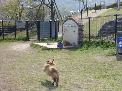 中津へお迎えに～♪_c0211540_168409.jpg