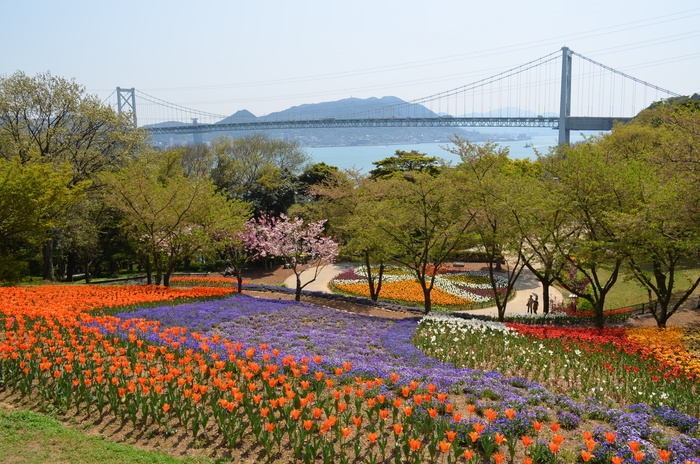 ”火の山公園トルコチューリップ園”_d0153941_192153.jpg