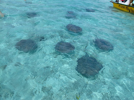 d0167041_41224.jpg