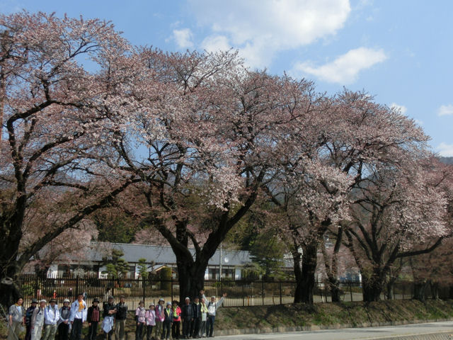 長沢のこいのぼり_f0019247_2132214.jpg