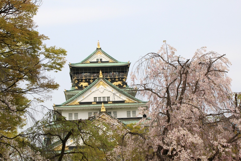 大阪造幣局　桜の通り抜け～その２_a0104448_15151477.jpg