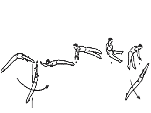 e0303850_012540.png