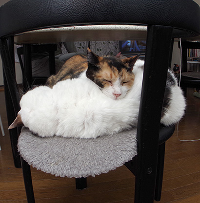春だけど、べたべた・・・_a0028451_1301285.jpg