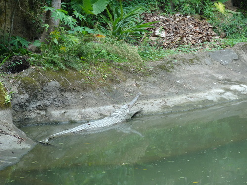 台北市立動物園_c0319653_21432196.jpg