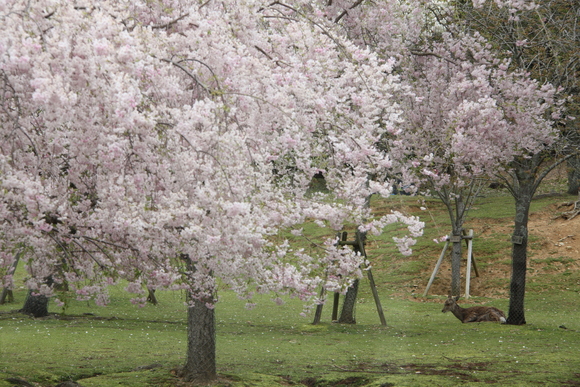 f0233356_74515.jpg