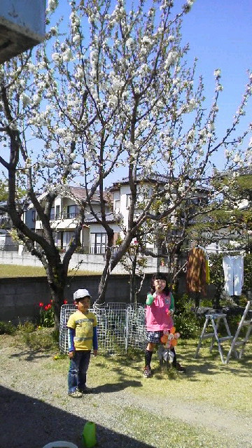 さくらんぼの木の下で_d0296058_1493420.jpg