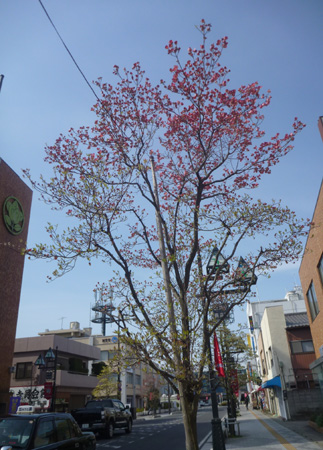 a0053063_8475814.jpg