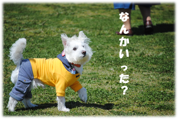 b0242873_13130241.png