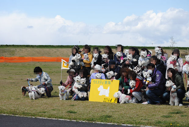 ♪ ダニエル チューリップ祭り2014 ランランラン～(*^_^*)  ♪_b0242873_14223704.png