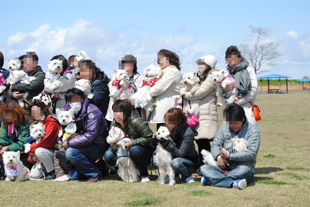 ♪ ダニエル チューリップ祭り2014 ランランラン～(*^_^*)  ♪_b0242873_14225084.png