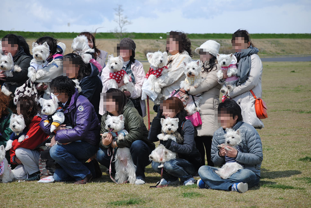 b0242873_14240662.png