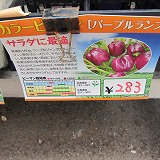 夏野菜の苗_e0098473_216581.jpg