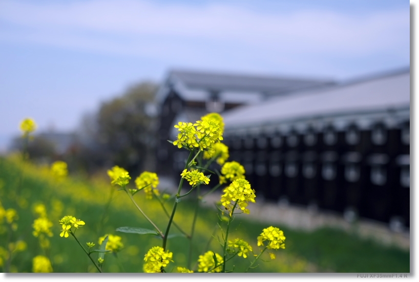 酒蔵_c0054876_827266.jpg