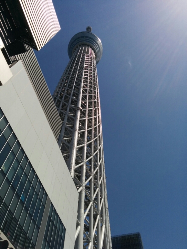 東京観光２_f0130376_81424.jpg