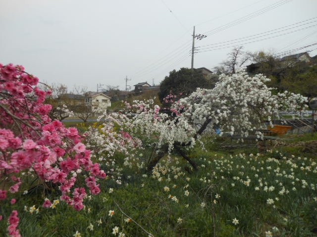 c0206177_12561628.jpg